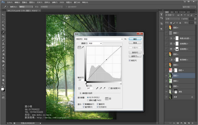 Photoshop为偏暗的树林婚片增加灿烂的阳光色彩
