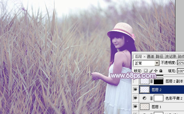 Photoshop将芦苇美女图片打造唯美的秋季冷色蓝紫色