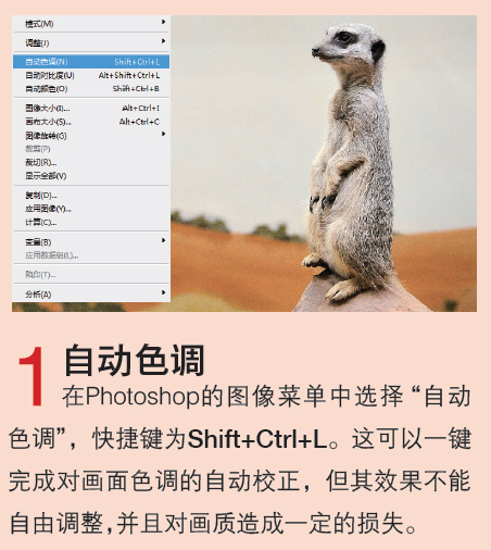 Photoshop CS6教你在JPEG文件格式下进行色彩校正
