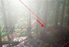 Photoshop为偏暗的森林图片增加柔和的透射阳光效果