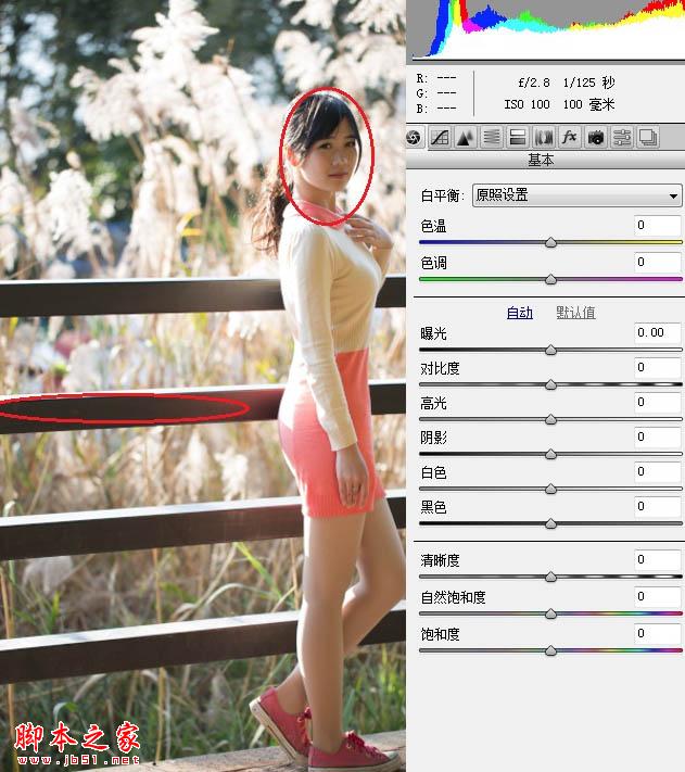 Photoshop将秋季芦苇边的美女图片增加上通透的甜美色