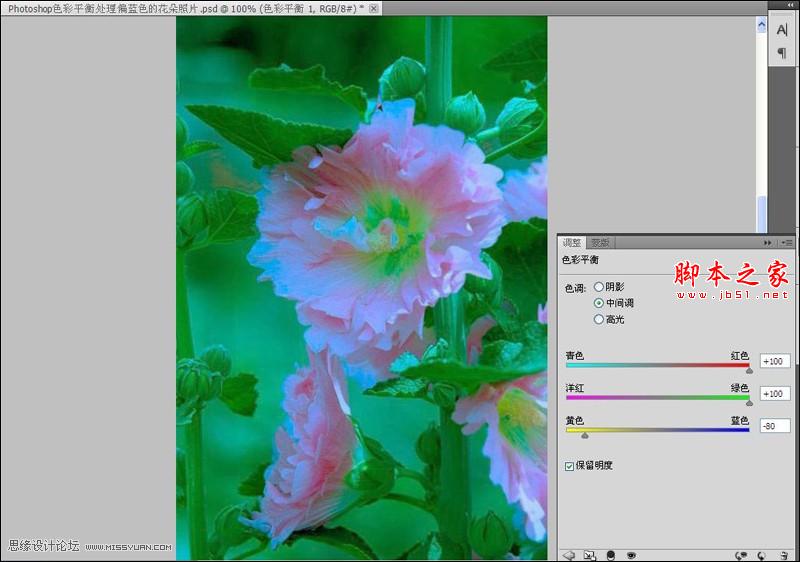 Photoshop使用色彩平衡和曲线工具为严重偏色的花朵照片较色