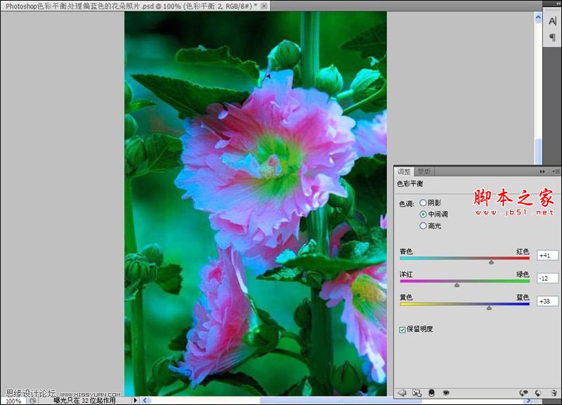 Photoshop使用色彩平衡和曲线工具为严重偏色的花朵照片较色
