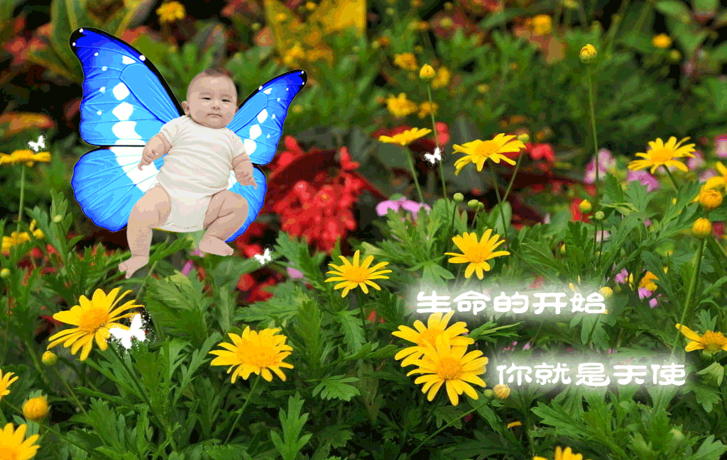 photoshop为宝宝写真照增加动态蝴蝶翅膀特效