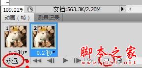 photoshop为可爱猫咪制作漂亮的动态签名教程