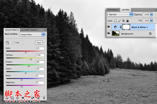 Photoshop为树林图片增加上淡灰色迷雾