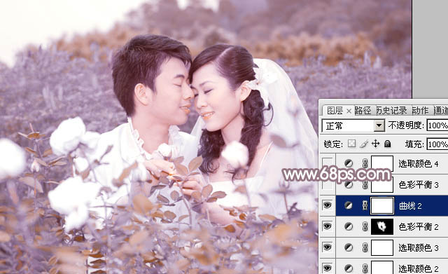 Photoshop为玫瑰园婚照调制出蓝紫中性色