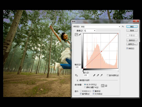 Photoshop将泛白的树林人物图片调制出蓝色天空效果