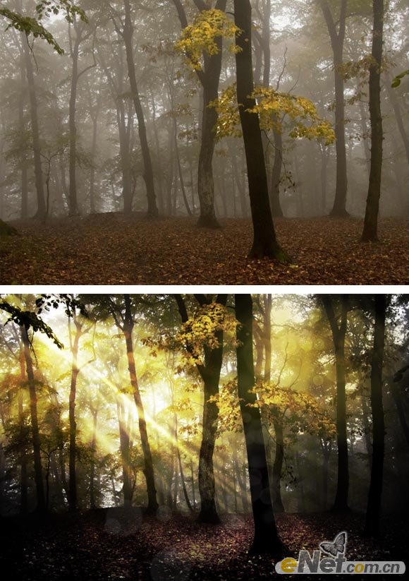 Photoshop使用HDR功能调制出阳光直射的梦幻森林场景