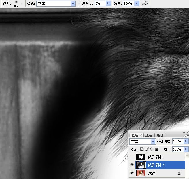 ps利用通道混合器及画笔抠出毛发较多的宠物狗