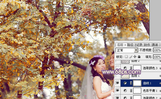 Photoshop为树林婚片调制出浓郁的秋季色