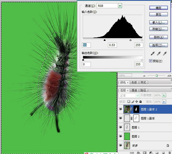 photoshop利用抽出滤镜抠出多刺的毛虫