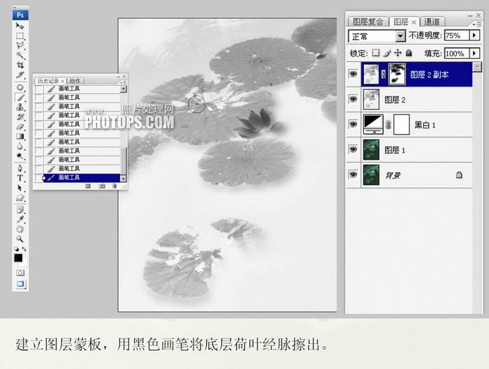 Photoshop将普通的荷叶图转成经典水墨画效果