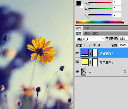 photoshop利用纯色图层快速打造中性蓝黄色花朵图片