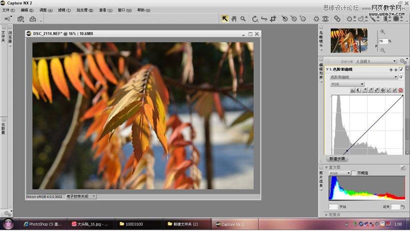 photoshop在LAB模式下通过曲线调整秋季摄影图片效果实例教程
