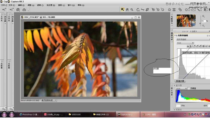 photoshop在LAB模式下通过曲线调整秋季摄影图片效果实例教程