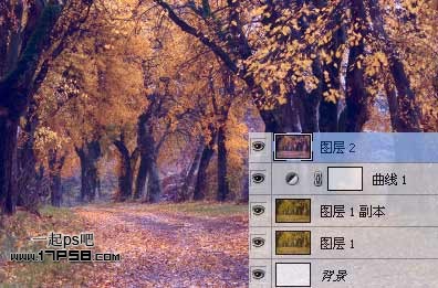 Photoshop为平淡的秋天树林调成红色的效果