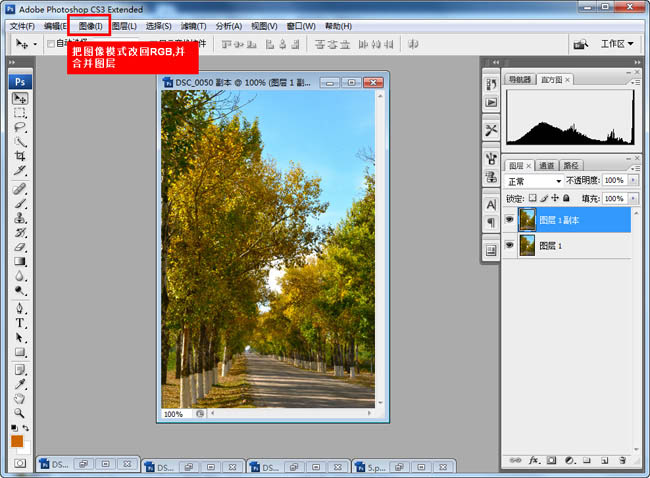 Photoshop快速为树林图片增加艳丽的秋季色效果