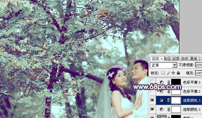 Photoshop制作古典青褐色效果的树林婚片