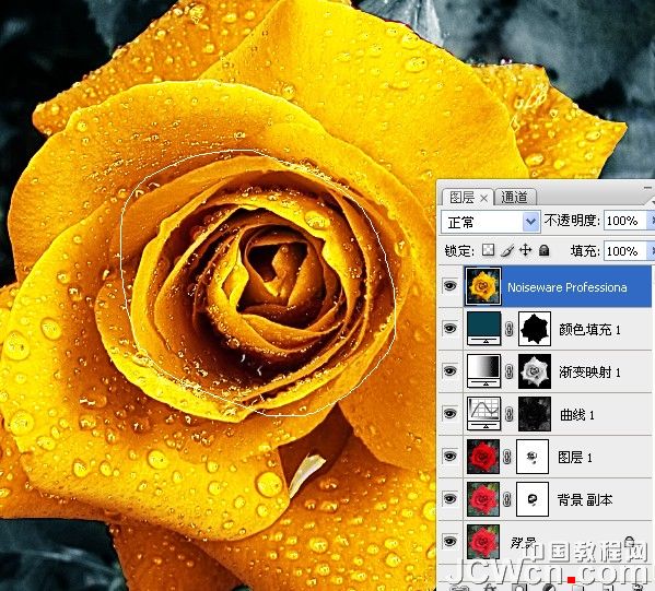Photoshop快速将红色玫瑰变成金色的效果