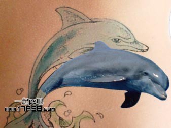 photoshop制作出漂亮的海豚立体纹身效果