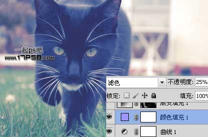 photoshop将可爱的猫咪图片打造出复古老照片效果