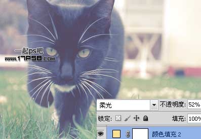 photoshop将可爱的猫咪图片打造出复古老照片效果