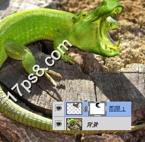 photoshop将蜥蜴与河马合制成一种动物的效果
