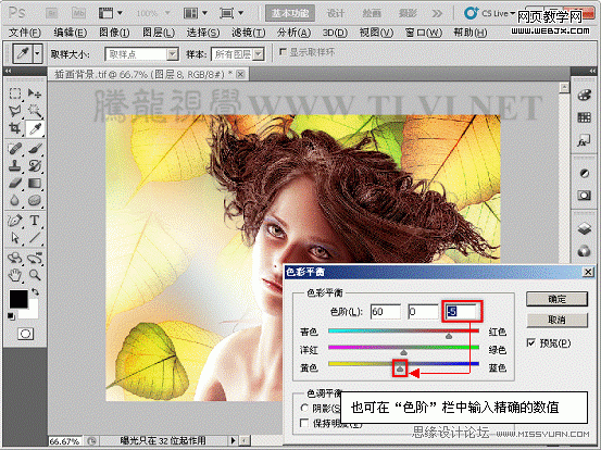PS入门教程:用色彩平衡命令调整图片色彩的制作方法