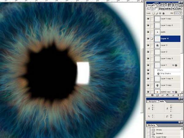 Photoshop将绘制出逼真的眼球效果的鼠绘实例教程