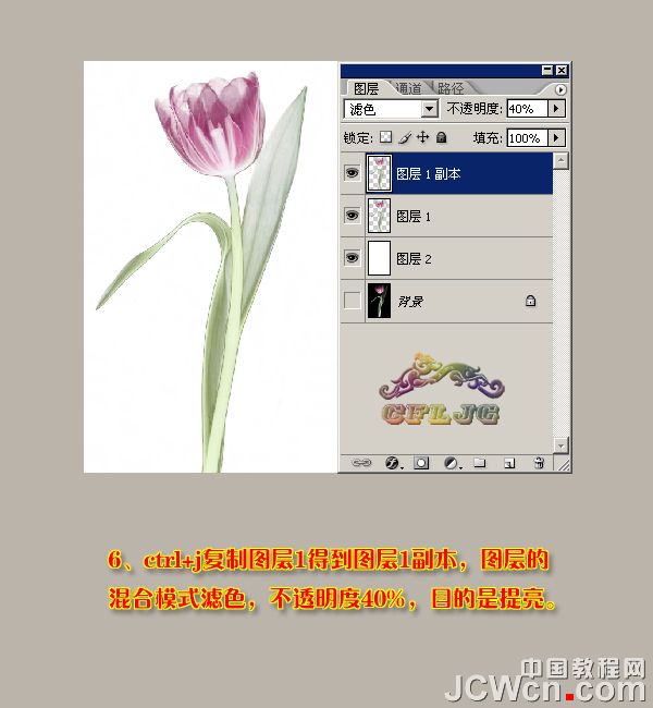 photoshop 利用背景橡皮擦工具快速抠出背景单一的花朵
