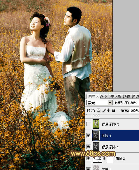 Photoshop制作柔和的金色花朵背景婚片