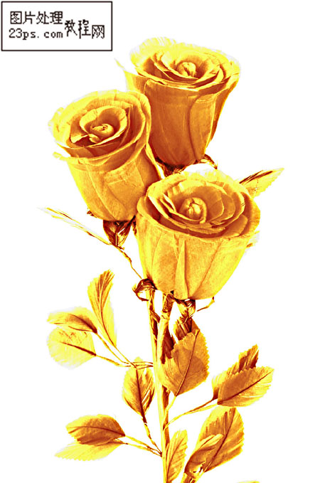 Photoshop快速制作漂亮的金黄色玫瑰花