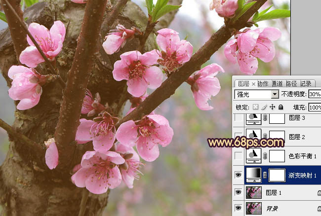 Photoshop调出桃花图片漂亮的粉红色
