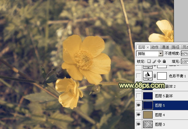 Photoshop将花朵图片调成强对比的暗黄色