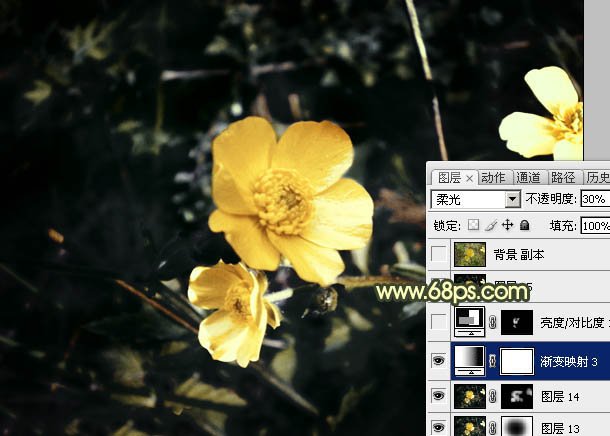 Photoshop将花朵图片调成强对比的暗黄色