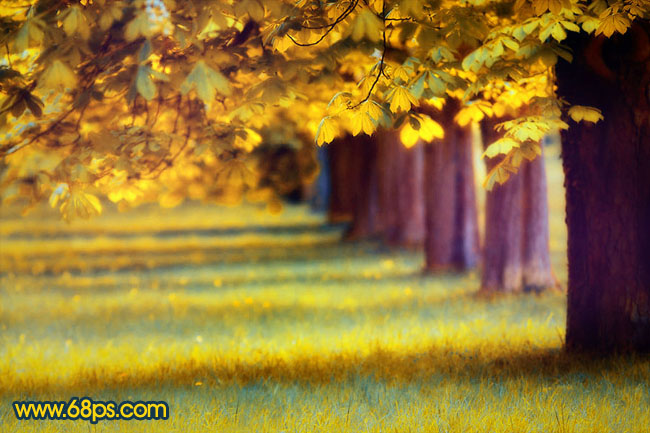 Photoshop将绿荫树林图片调成灿烂的金色调