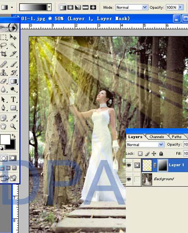 Photoshop为树林照片添加逼真的透视光线效果