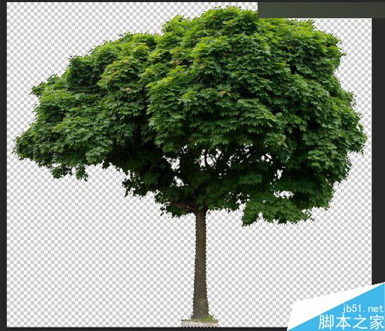 Photoshop制作超创意的岩石绿树艺术字教程