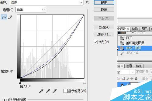 PS调整图层将照片调出夜色效果