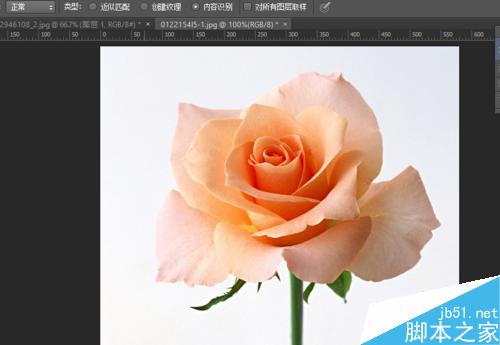 PS快速将玫瑰花照片转化为手绘效果