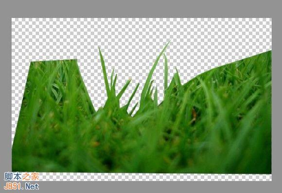 如何利用PS制作绿色草丛里的文字