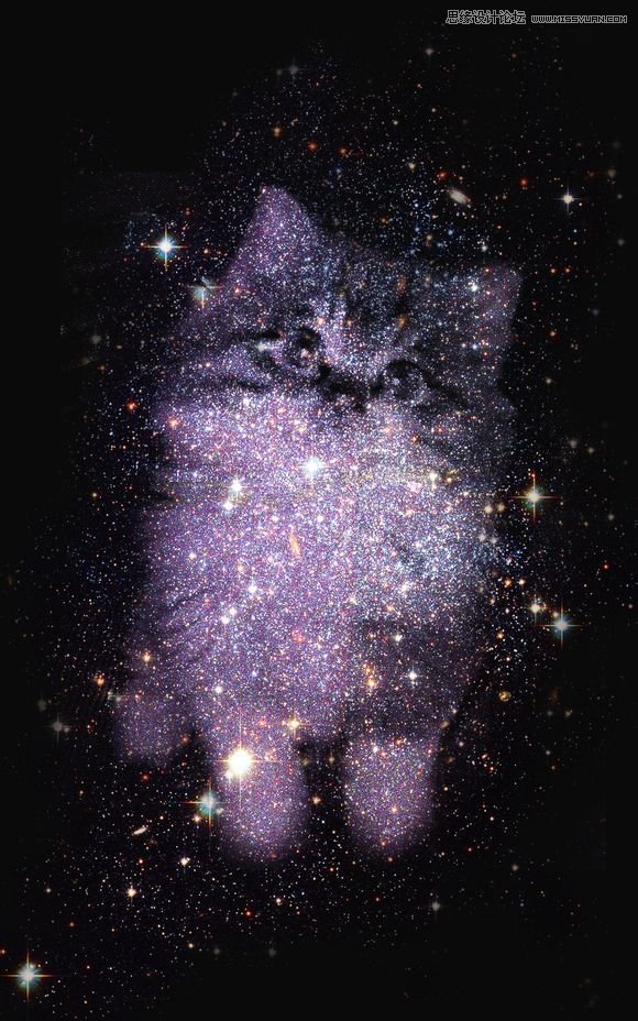 使用Photoshop合成创意的星空装饰的猫咪图片