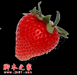 Photoshop设计制作鲜美逼真的红色草莓字