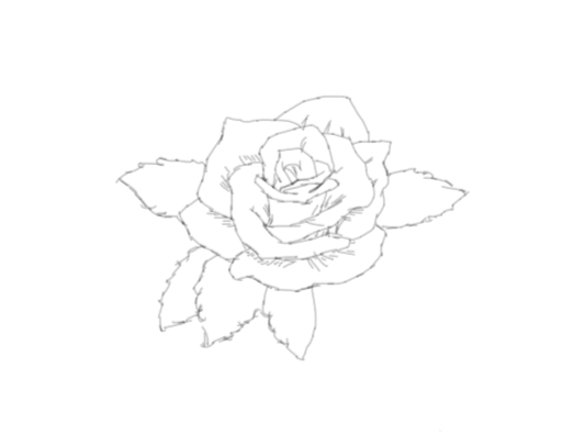 ps怎么手绘简笔画玫瑰矢量图?