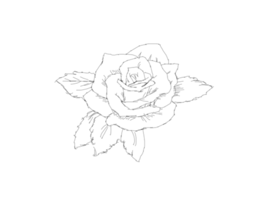 ps怎么手绘简笔画玫瑰矢量图?