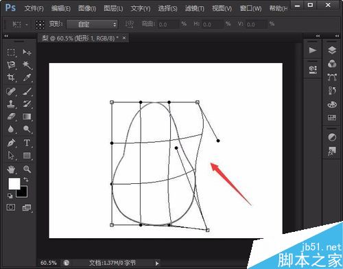 用photoshop绘制简笔画梨