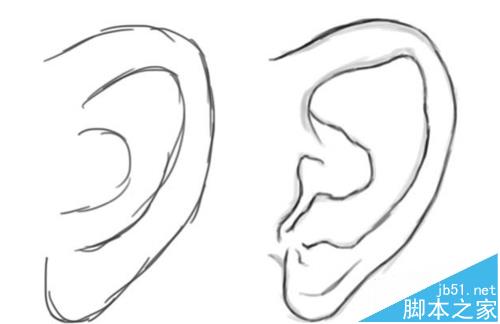 ps怎么制作绘制人体的耳朵的矢量图形?