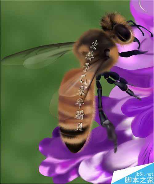 PS鼠绘一只可爱的绒绒的小蜜蜂