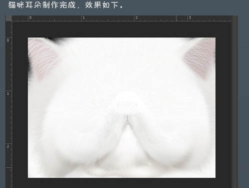 photoshop鼠绘神态憨厚的小白猫头像效果